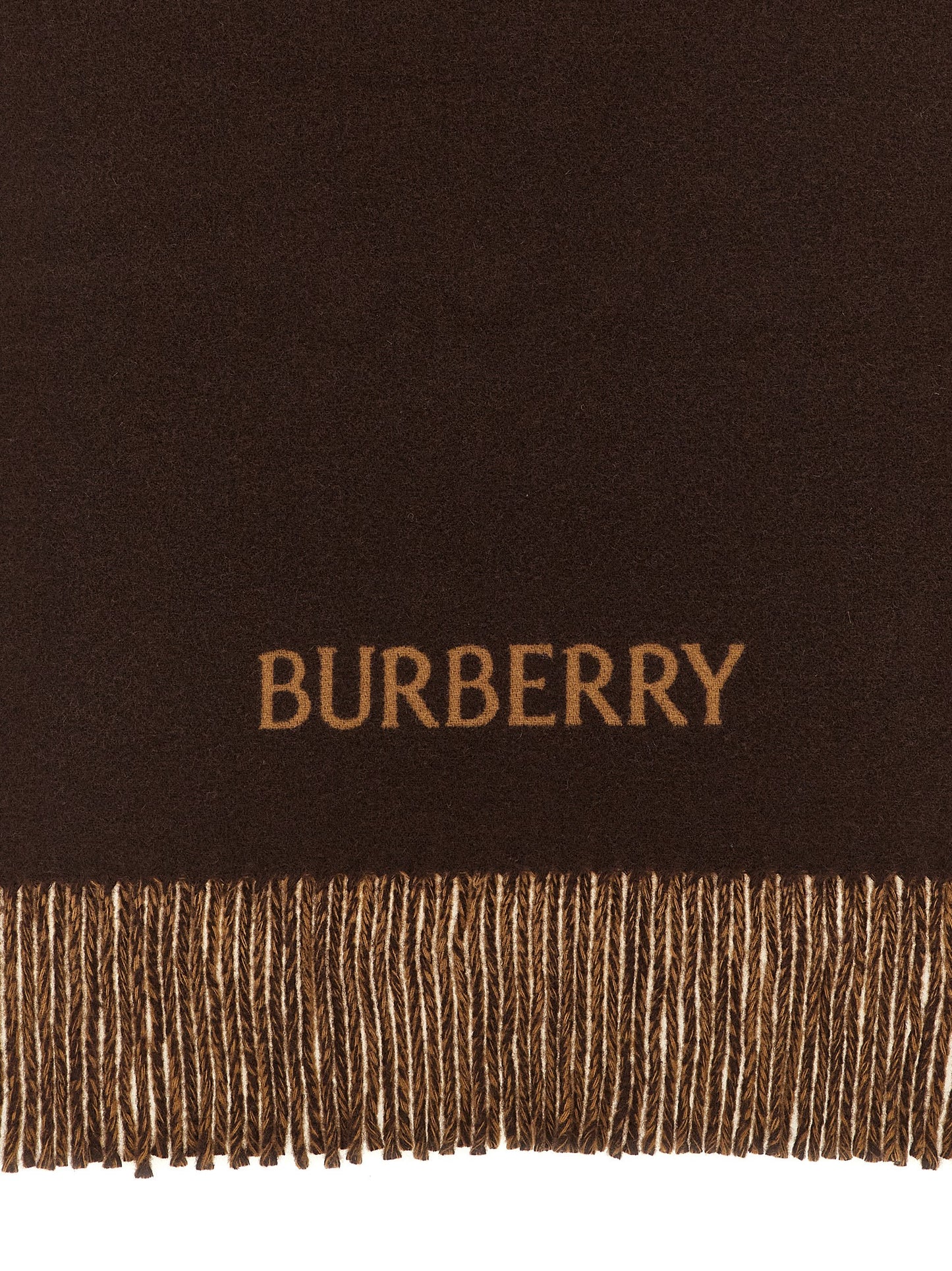Burberry Multicolor Cashmere Scarf